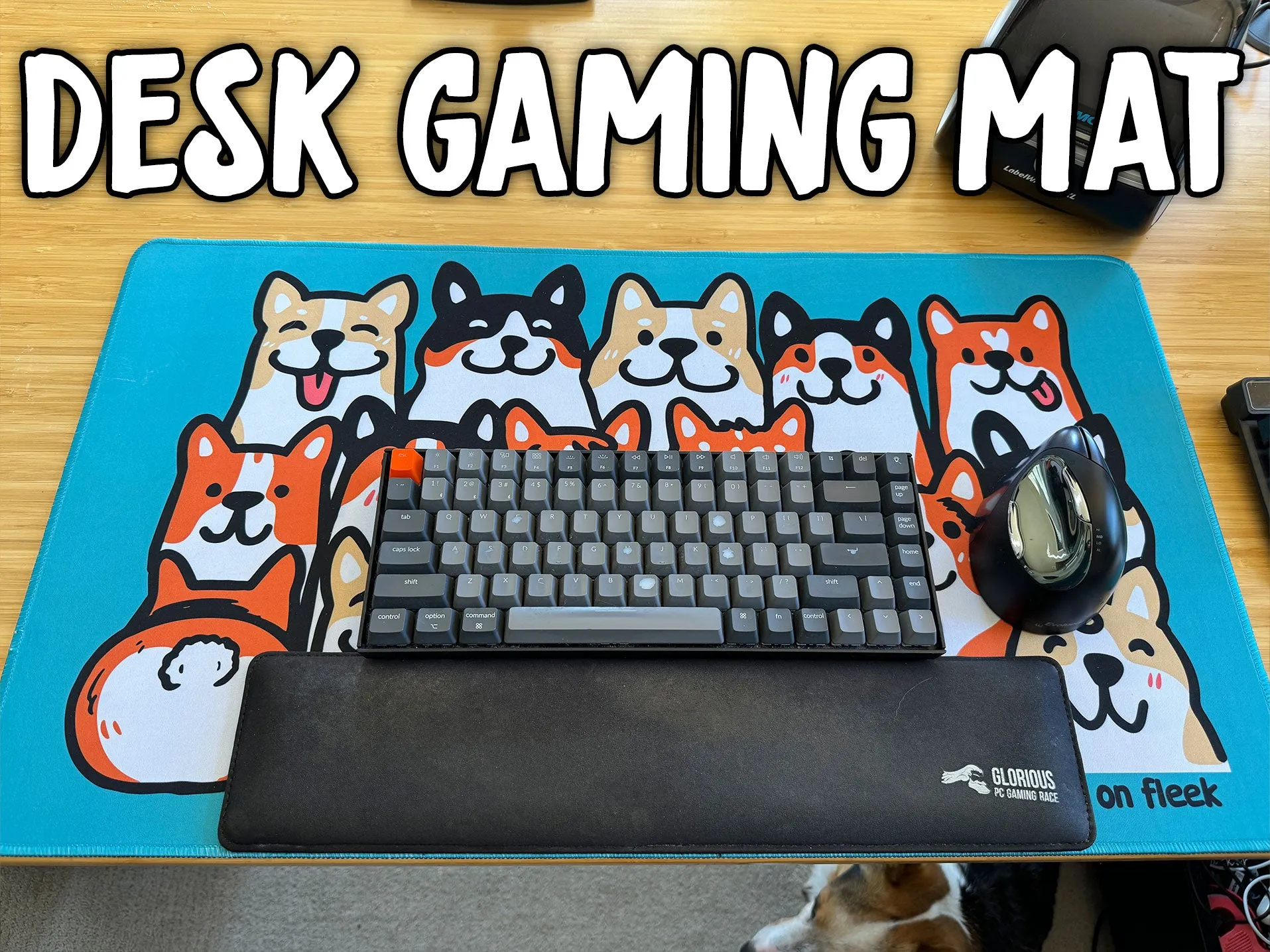 Corgi Friends Desk Gaming/Play Mat [Limited Edition]