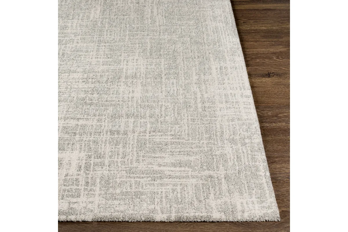 Gavin Indoor Machine Woven Rug