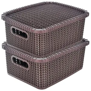 Kuber Industries Multiuses Large M 20 Plastic Basket/Organizer With Lid- Pack of 2 (Brown) -46KM063