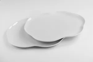 Organic Design Porcelain Platter - Set of 2