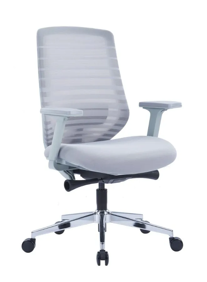 Premium Grey Mesh Office Chair with Adjustable Lumbar Support and Recline - Ergonomic Desk Chair for Home or Office with Stylish Design and Comfort Features with Arm Rest