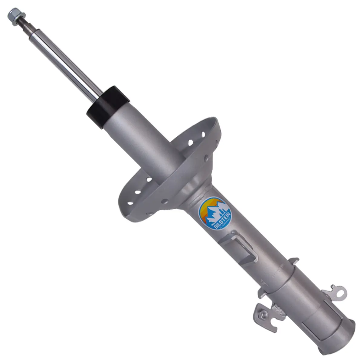 B8 Terrasport - Suspension Strut Assembly 1