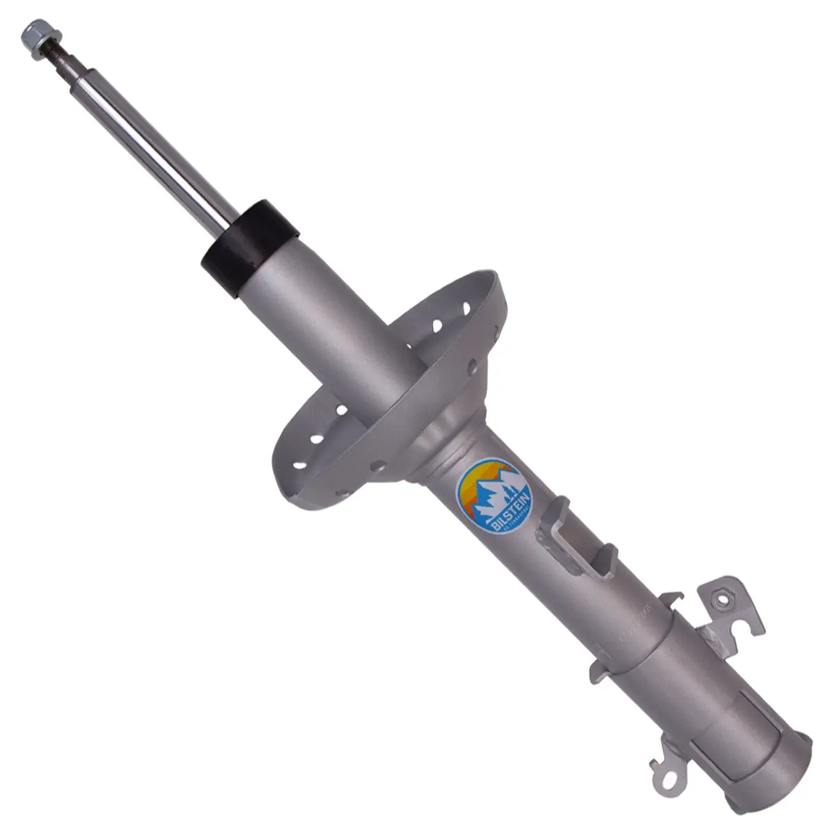 B8 Terrasport - Suspension Strut Assembly 1