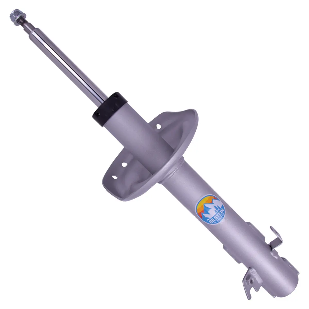 B8 Terrasport - Suspension Strut Assembly 1