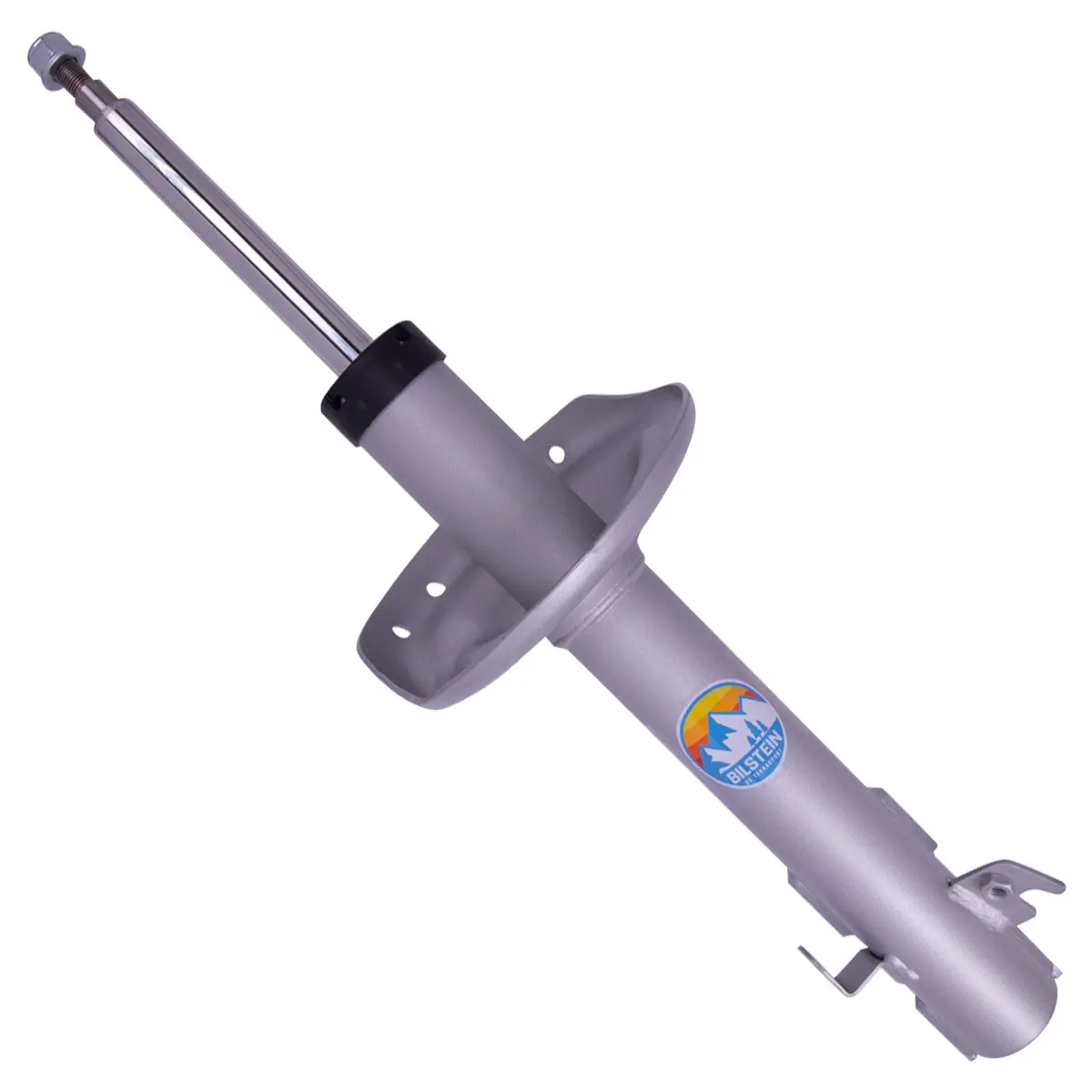 B8 Terrasport - Suspension Strut Assembly 1