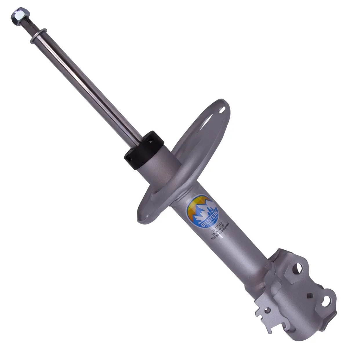 B8 Terrasport - Suspension Strut Assembly 1