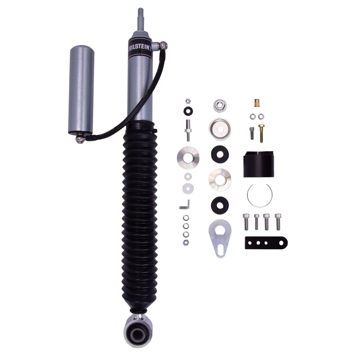 B8 5160 - Suspension Shock Absorber 1