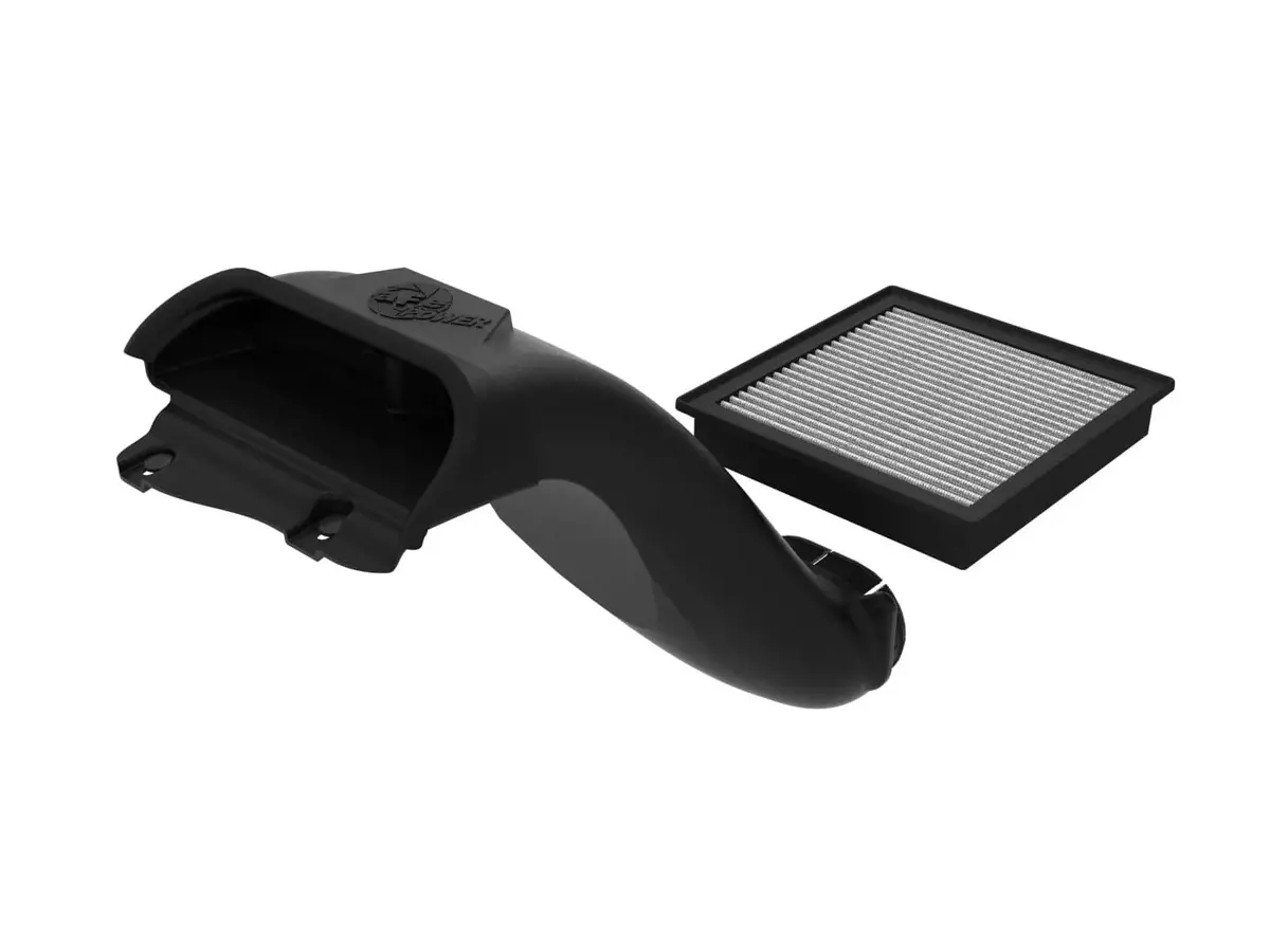 Dynamic Air Scoop 21-25 F150 1