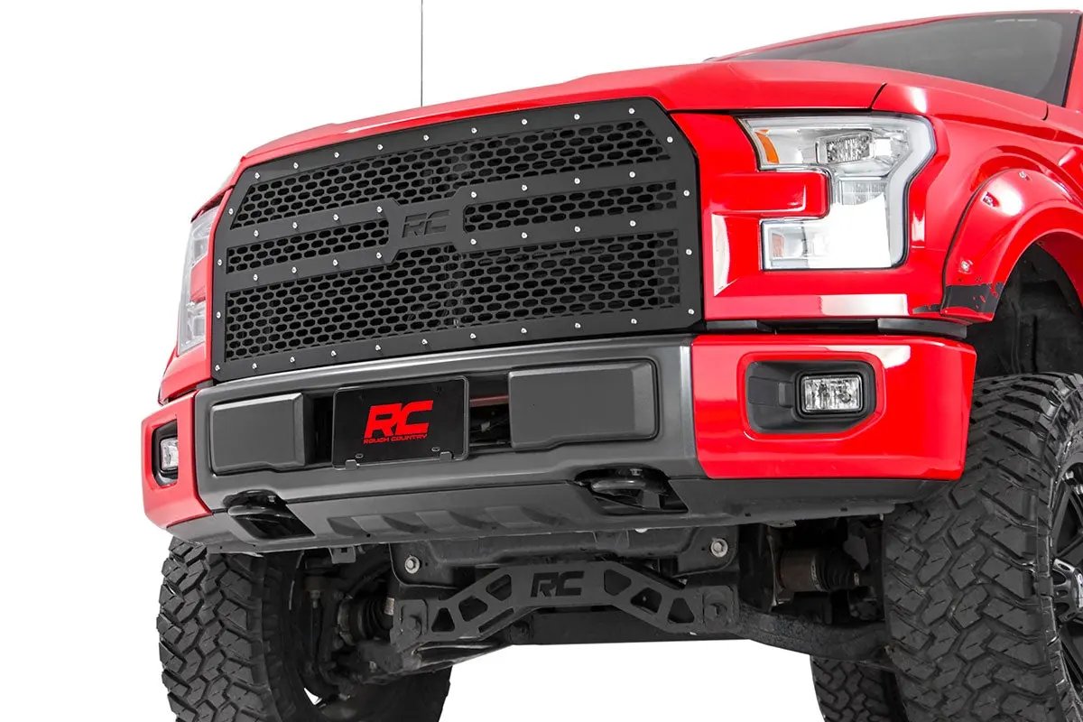 Mesh Grille - Ford F-150 2Wd/4Wd (2015-2017) 1