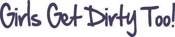 Ggdt Windshield Sticker 6.5" X 38" 2