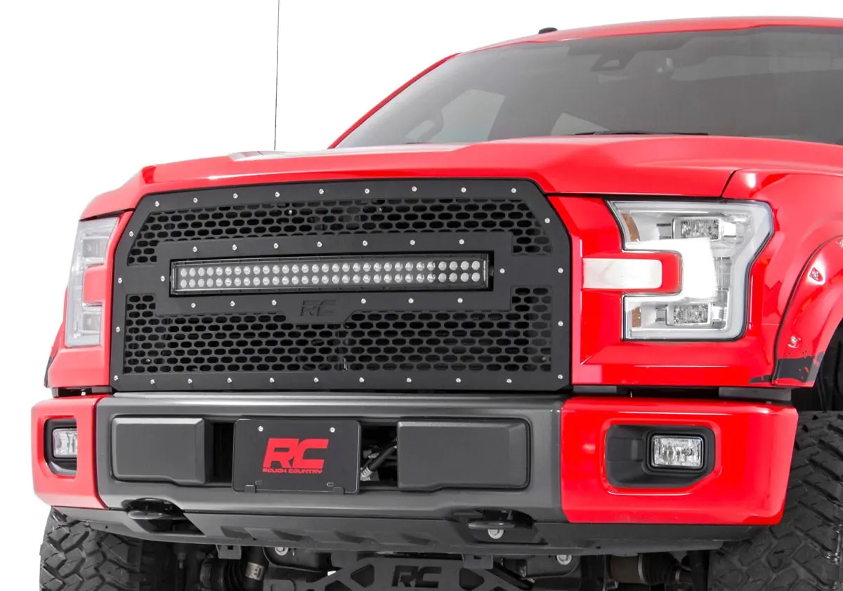 Mesh Grille - 30" Dual Row Led - Black - Ford F-150 2Wd/4Wd (2015-2017) 1