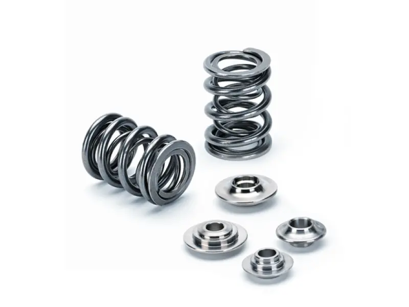 Supertech Vw/Audi 2.7T 30V 6Cyl Single & Dual Valve Spring Kit 1
