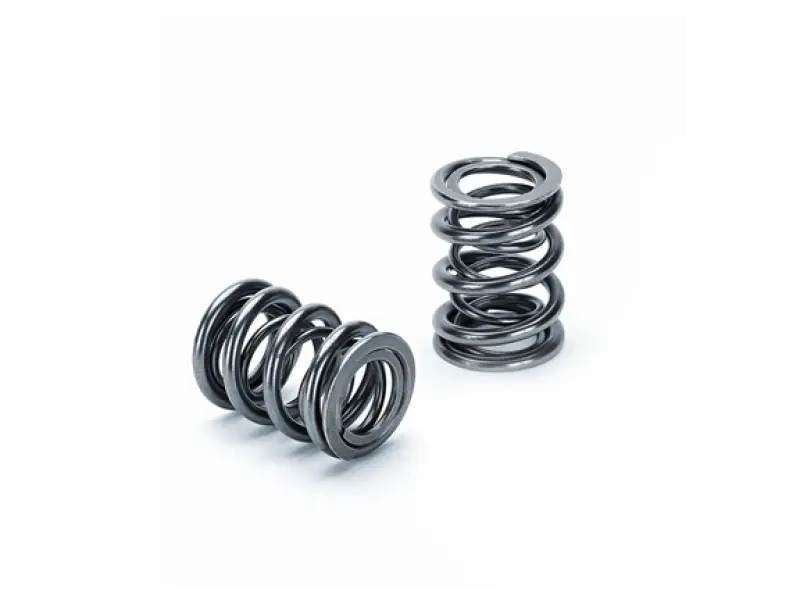 Supertech Honda K20/K24/F20c1/F22c1 Dual Valve Spring - Set Of 16 1