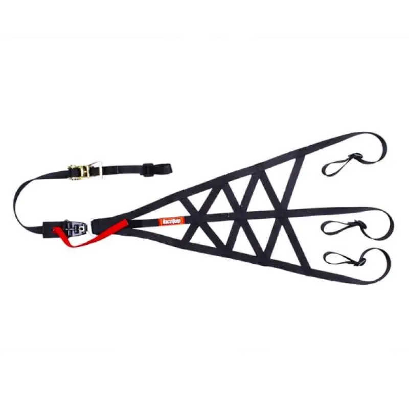 Racequip Black Sfi 37.1 Side Roll Cage Net 1